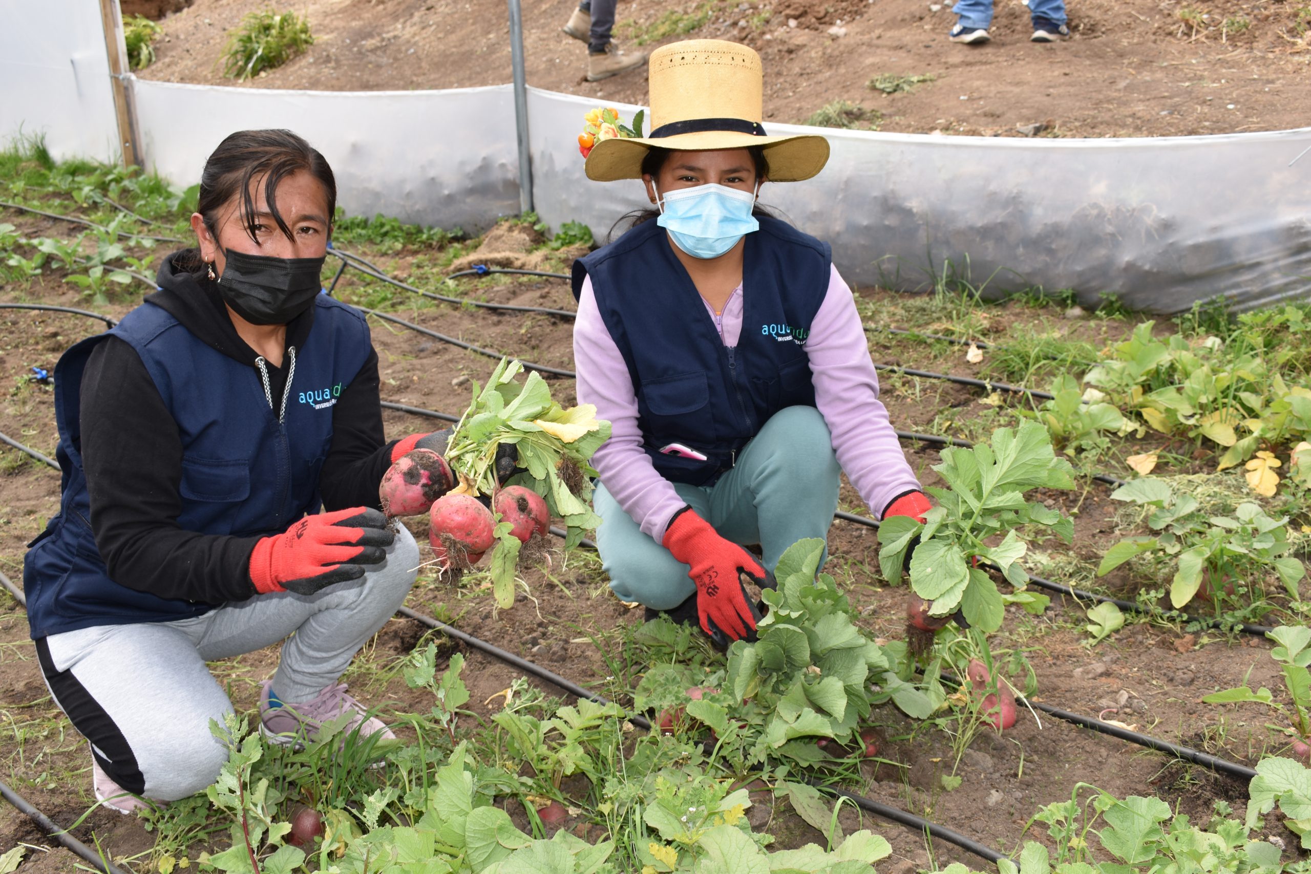 Siembra y cosecha de agua en la subcuenca del río Santa Eulalia