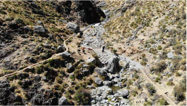 Día Mundial del Agua: ¿Qué son las amunas y cómo ayudan a mitigar los efectos del cambio climático?