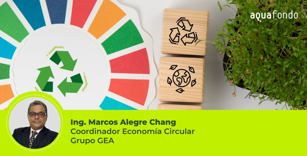 El Papel de la Economía Circular en la Sostenibilidad