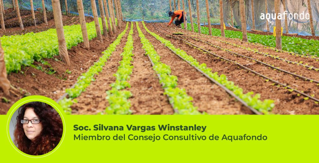 Enfoque Nexus: Territorializando el camino hacia la sostenibilidad