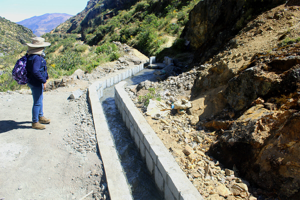 ¿Cómo la conservación de amunas puede reducir el estrés hídrico de Lima?