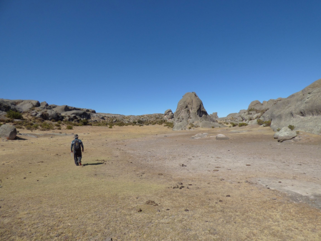 Restauracion de ecosistemas aquafondo