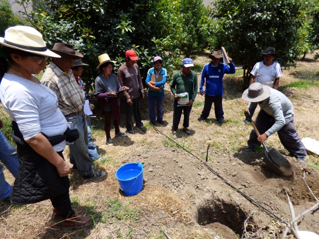 ¡Junto a Pavco Wavin seguimos contribuyendo a una agricultura más sostenible!