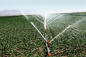La gobernanza del agua es un reto complejo