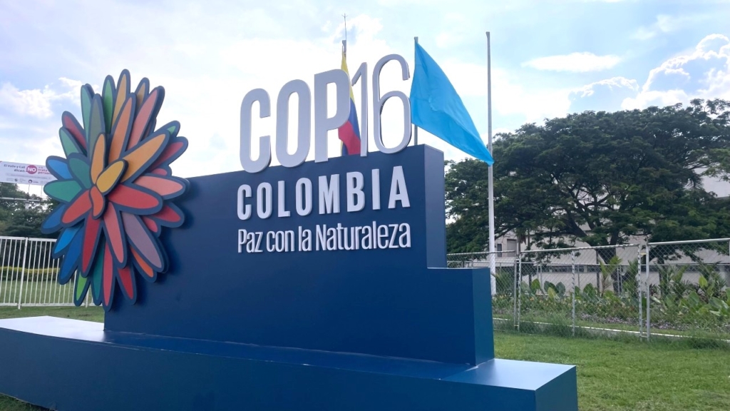 Aquafondo presente en la COP16: Uniendo esfuerzos por el agua y la biodiversidad