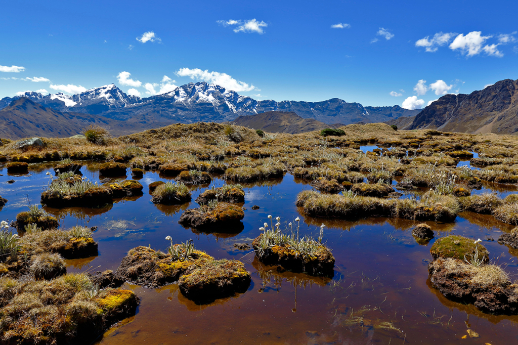 Comprometidos con la conservación de los ecosistemas de montaña para fortalecer la seguridad hídrica de Lima