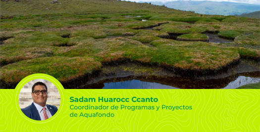 ¡Protejamos los bofedales del Valle de Santa Eulalia!