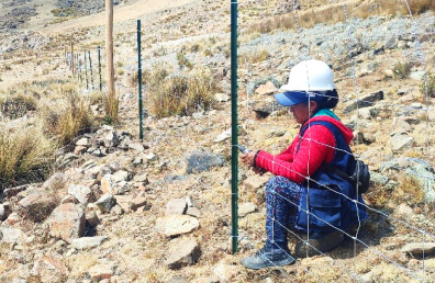 bofedal de yanasenega Aquafondo 1