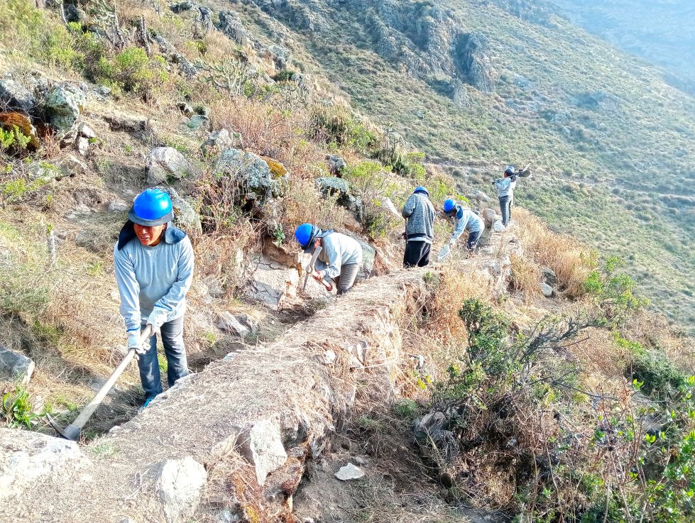 Mantenimiento de amuna Aquafondo