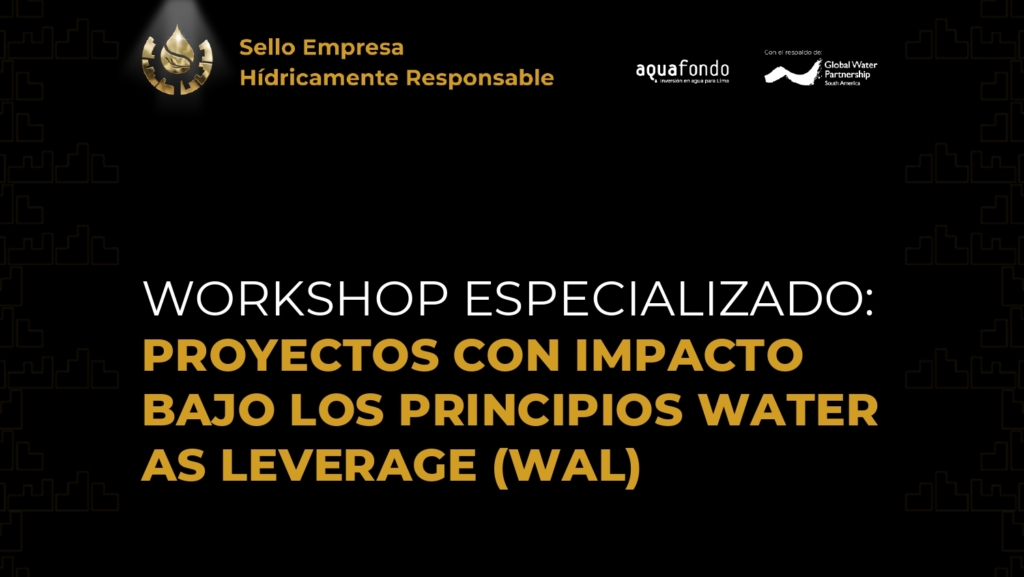 II Workshop Sello EHR 2024: Proyectos con impacto bajo los principios Water as Leverage