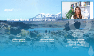 Participamos en el Taller de la Cuenca del Río Ica 2025