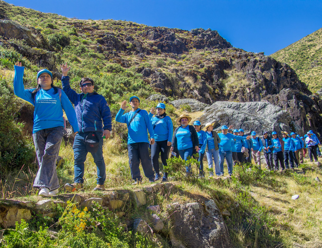 Consejo directivo <br>y órganos asesores