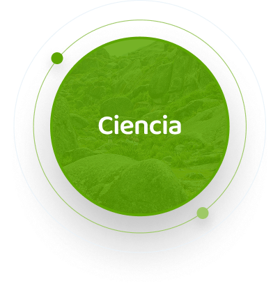 Ciencia