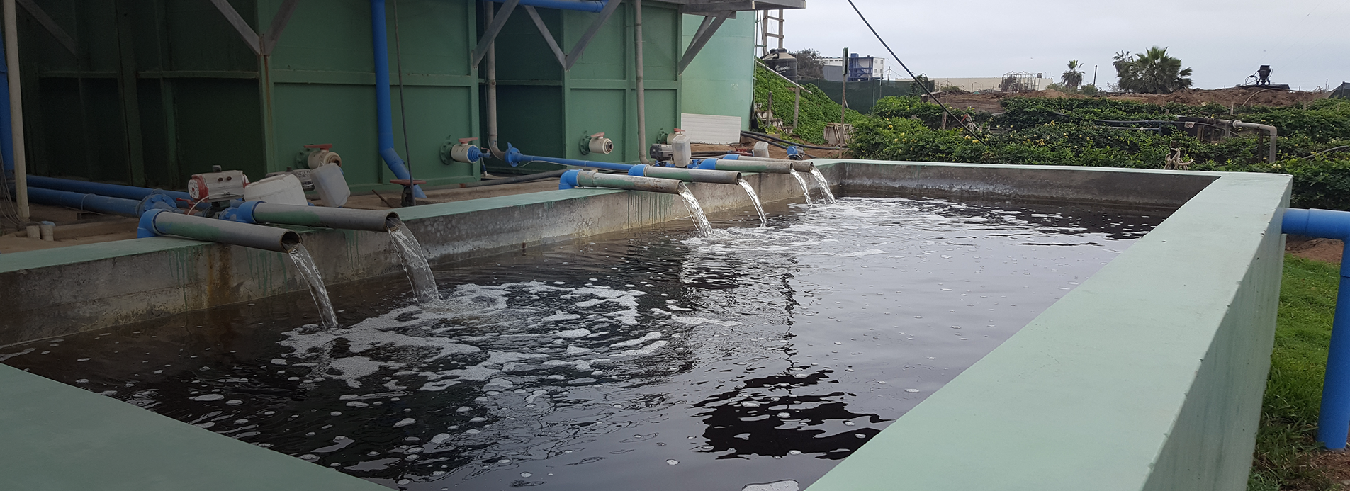 Reúso de agua tratada