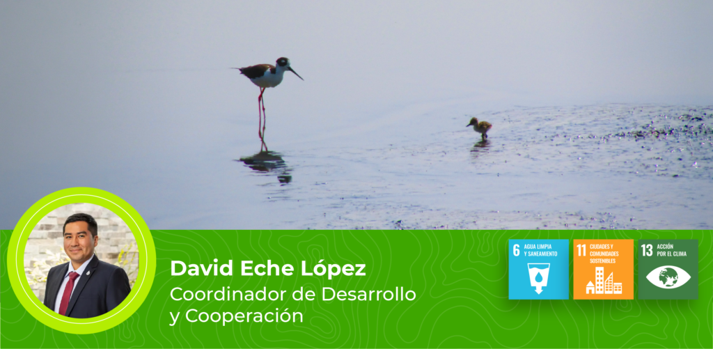 Humedales de Lima en riesgo: Llamado a la acción