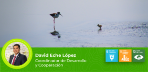 Humedales de Lima en riesgo: Llamado a la acción